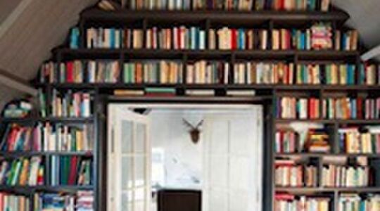 Illustratie voor: Young Adult top-5: april