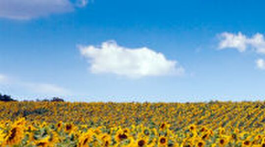 Illustratie voor: Fototips op reis #7: landschappen