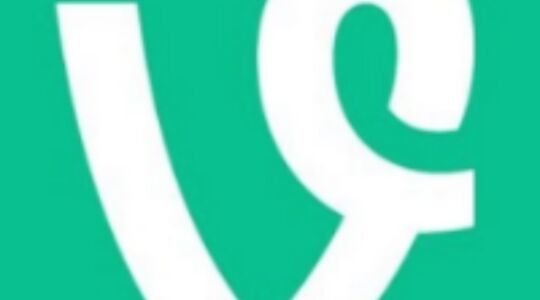 Illustratie voor: Hoera: Vine gaat toch niet helemaal stoppen