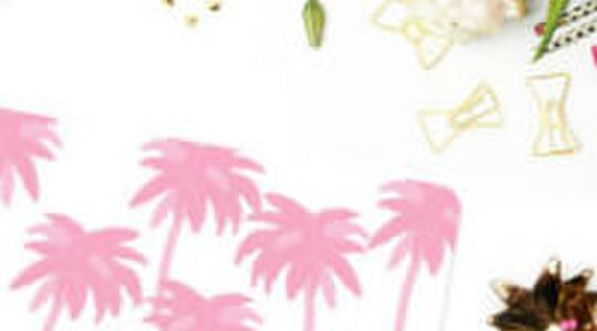 Illustratie voor: 10 hebbedingetjes die jou in de zomerstemming brengen