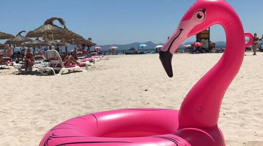 Illustratie voor: Zie jij waarom deze hilarische opblaas flamingo viral gaat?