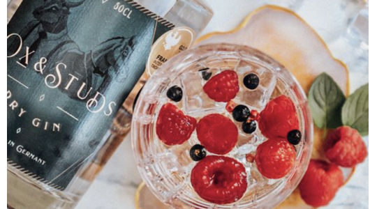 gin-tonic