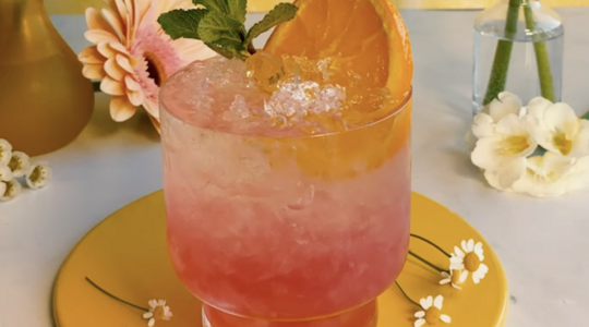 gin daisy cocktail