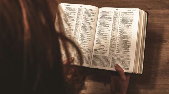 Meisje leest een woordenboek.