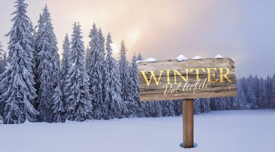Logo Winter Vol Liefde met sneeuw.