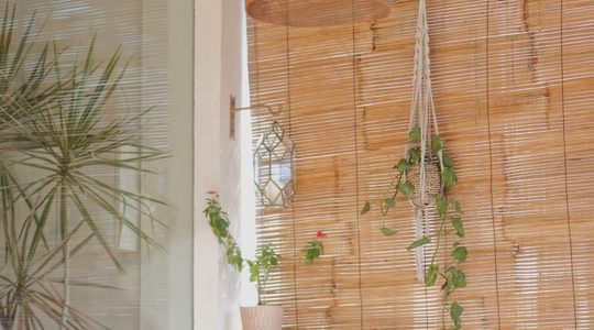 Illustratie voor: Inspo: budgetproof kamerdecoratie tips