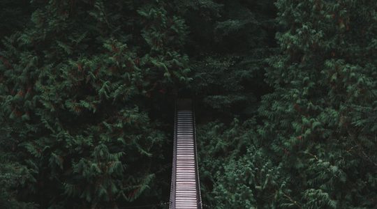 Illustratie voor: Wauw! Deze hangbrug is echt prachtig en bengelt in buurland Duitsland
