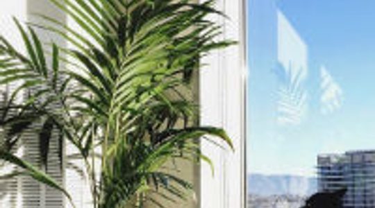 Illustratie voor: Early birds opgelet: dit doet regelmatig vroeg opstaan met je lichaam