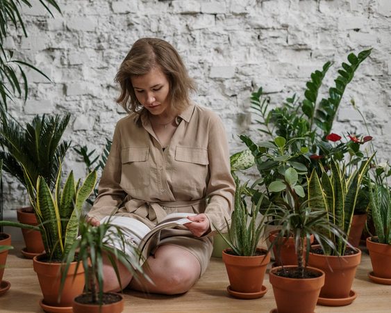 Deze goedkope planten zijn d&eacute; musthave voor op je kamer