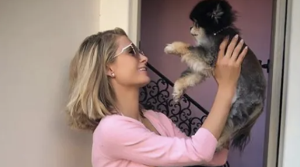 OMG! Paris Hilton heeft een luxe villa voor haar 20 hondjes!