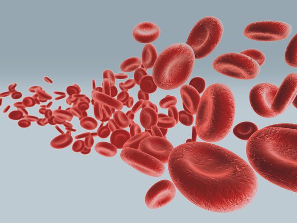 Happy 2021: dit is waarom bloeddonor worden van levensbelang is