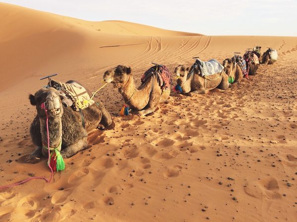 Dit zijn alle redenen om Egypte op je bucketlist te zetten