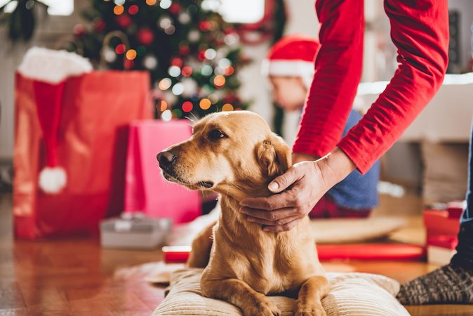 Dit zijn de leukste cadeau&rsquo;s om deze kerst aan hem te geven