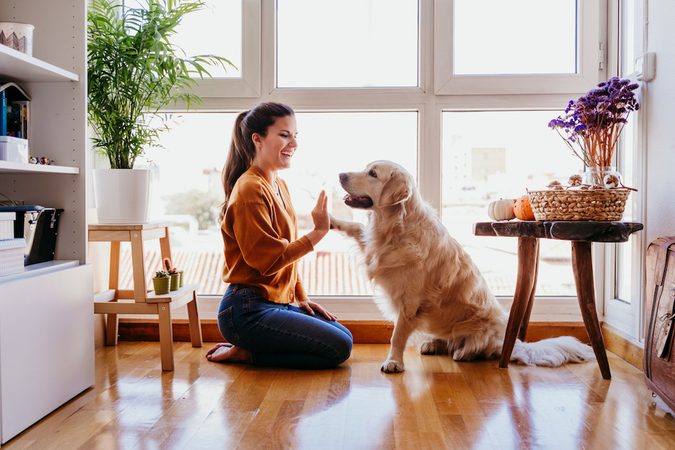 Onderzoek wijst uit: met een kinderstem tegen je hond praten is juist goed (en dus helemaal niet gek)