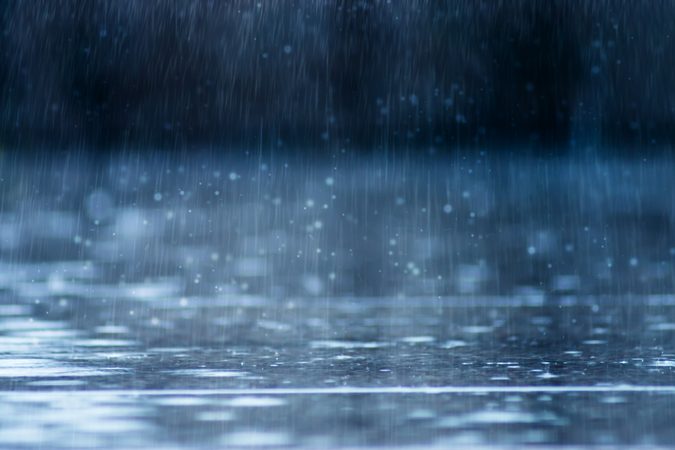 Vind jij de regen ook altijd zo lekker ruiken? Hier komt de geur vandaan