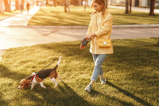 Dit wil je: verdien 33.000 euro per jaar als hond-uitlater