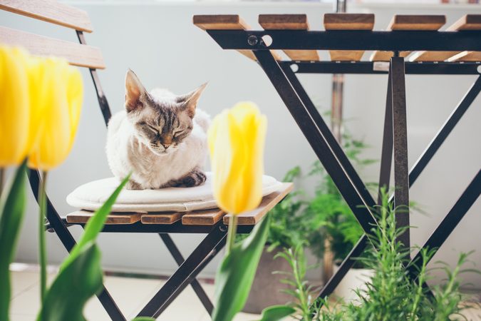 Handig: Zo maak je je balkon helemaal lenteproof