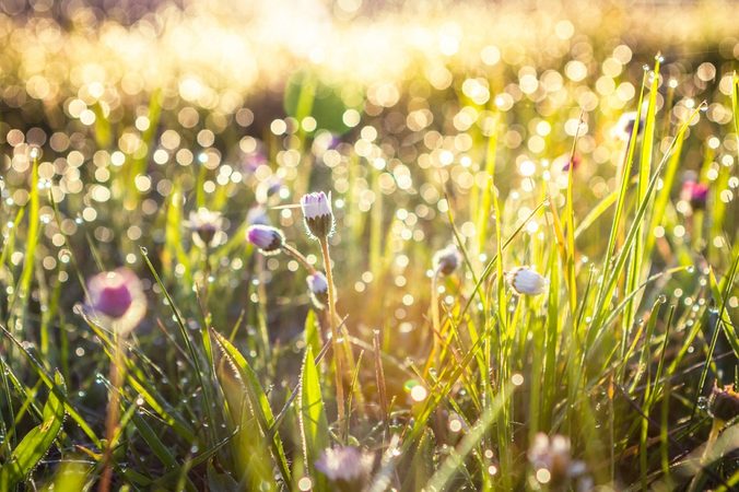 5 x de leukste dagjes uit in de lente voor jou en je bestie
