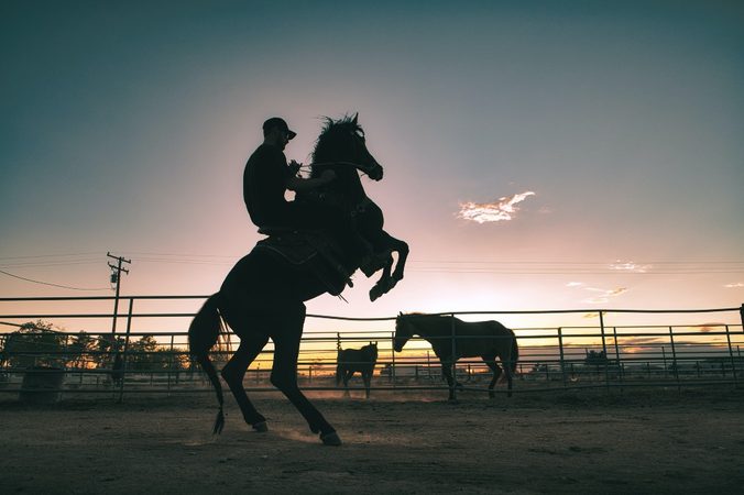 Howdy: van deze 10 knappe cowboys word je sowieso vrolijk