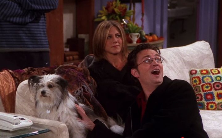OMG: een puppy in huis is goed voor je gezondheid