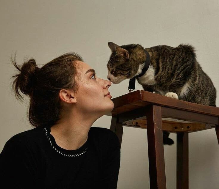11 dingen die je alleen begrijpt als je een kattenmens bent