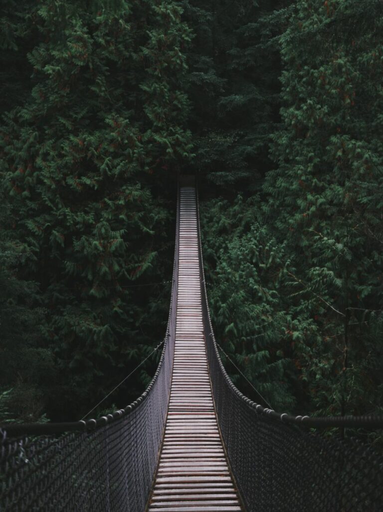 Wauw! Deze hangbrug is echt prachtig en bengelt in buurland Duitsland