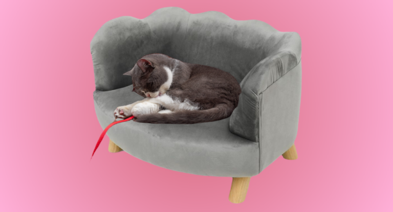 Pawsome nieuws: Action heeft perfect bankje voor jouw huisdier