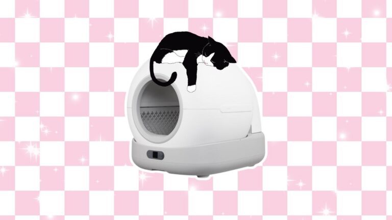 Zelfreinigende kattenbak.