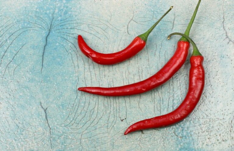 Gek op pittig eten? Deze recepten zijn lekker spicy