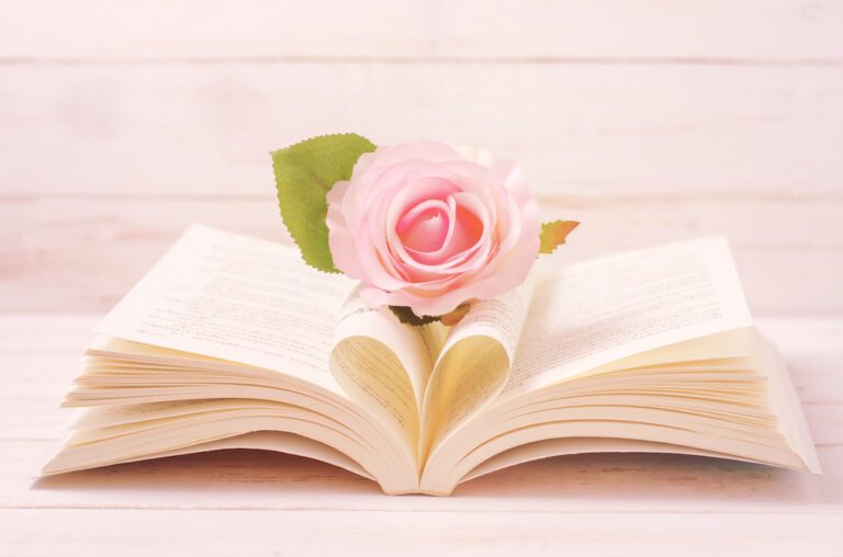 Leesvoer nodig? Dit zijn onze favoriete boeken van het moment