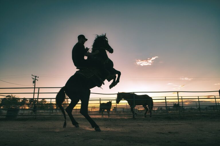 Howdy: van deze 10 knappe cowboys word je sowieso vrolijk