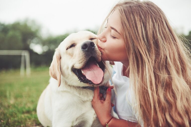Er bestaat nu een escape room voor jou en je hond