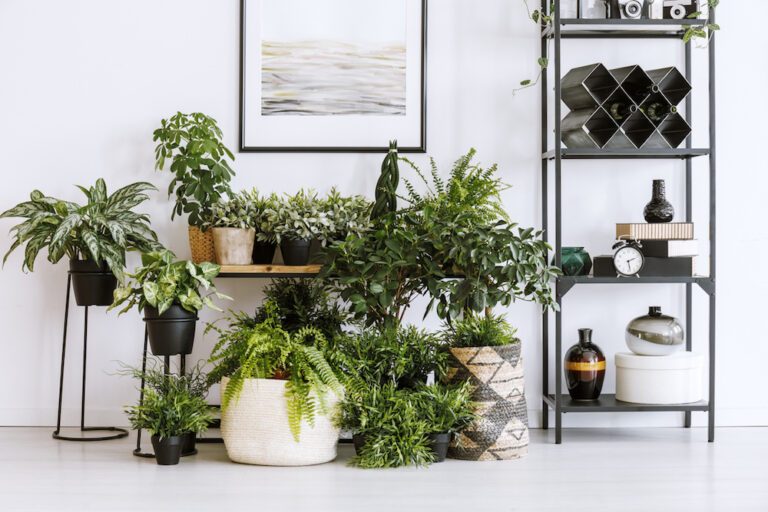 Met deze kleine, simpele aanpassingen kun jij je interieur een flinke make-over geven