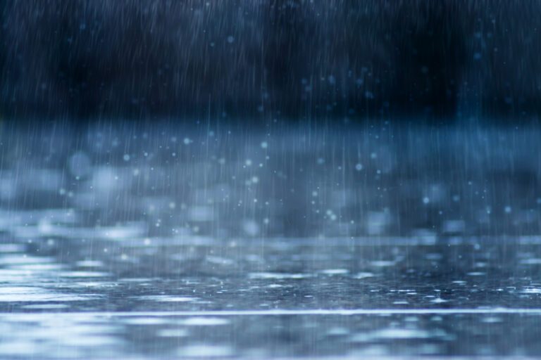 Vind jij de regen ook altijd zo lekker ruiken? Hier komt de geur vandaan