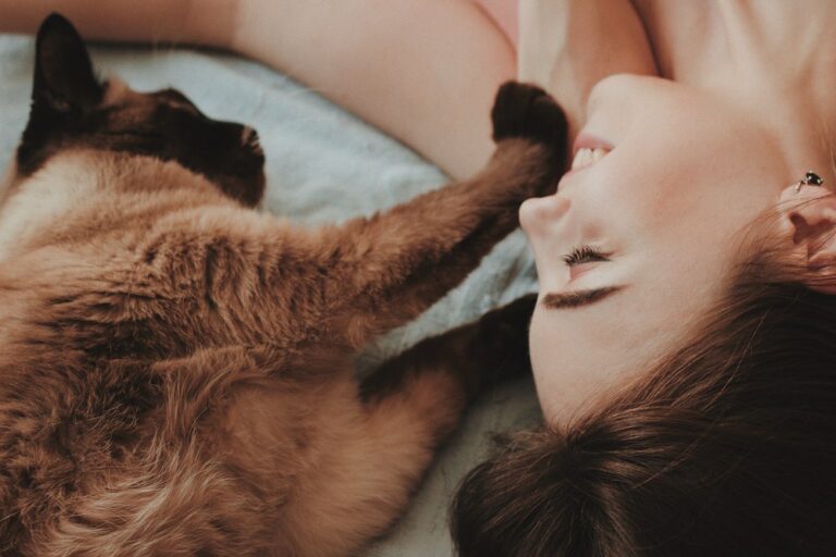 Cat-lovers opgelet! Als jij deze dingen herkent ben je de perfecte kattenmama