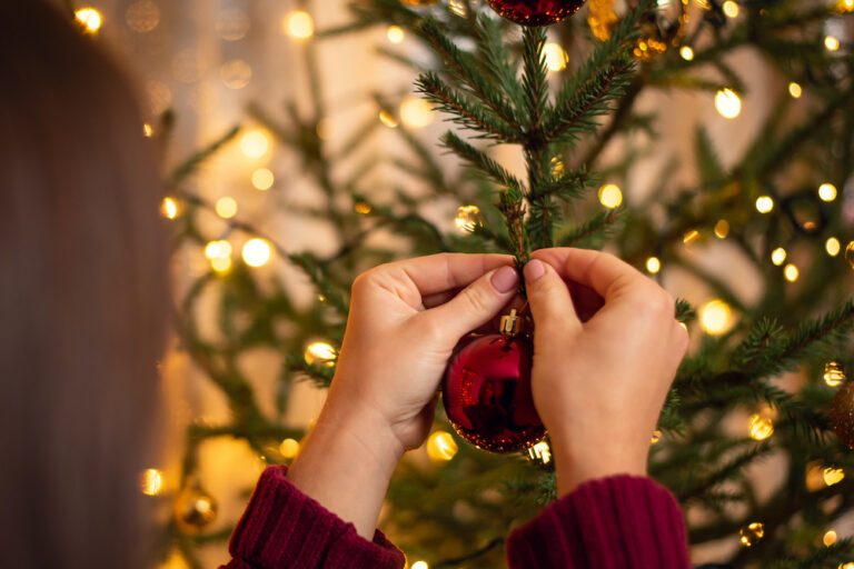 Merry christmas: dit is hoeveel ongedierte er in een echte kerstboom zit