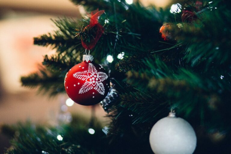 Kerstvakantie 2020: met deze lockdown-proof activiteiten wordt het een succes