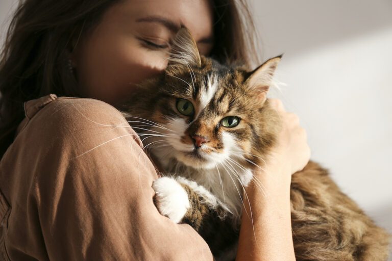 Dit zijn de 8 leukste huisdieren van celebs