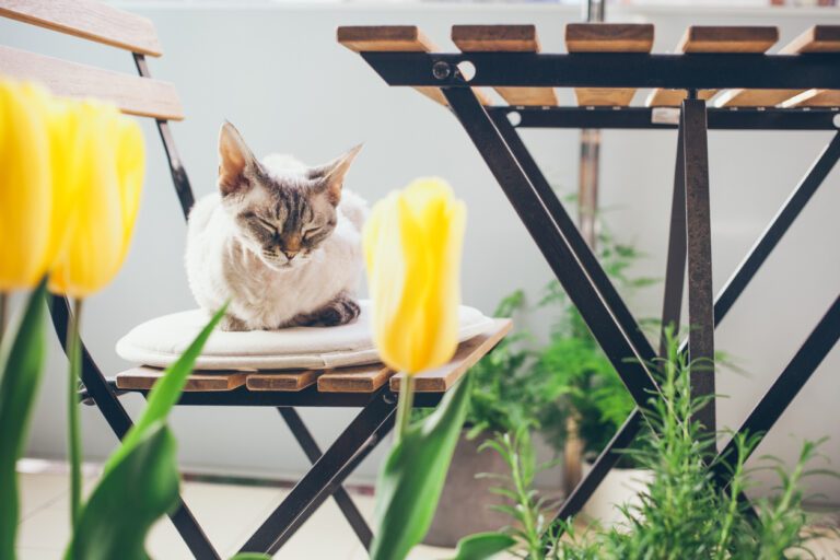 Handig: Zo maak je je balkon helemaal lenteproof