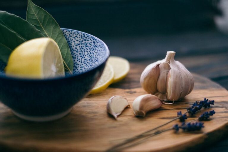 40 teentjes alstublieft: recepten voor mensen die DOL zijn op knoflook