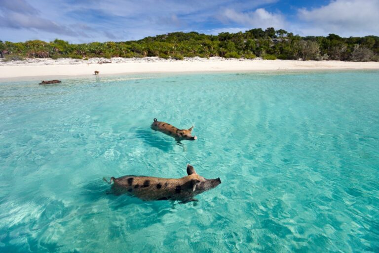 Dit zijn de 9 mooiste plekken op aarde om op je bucketlist te zetten