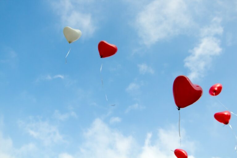 VIDEO: leukste momenten Lang Leve De Liefde #4