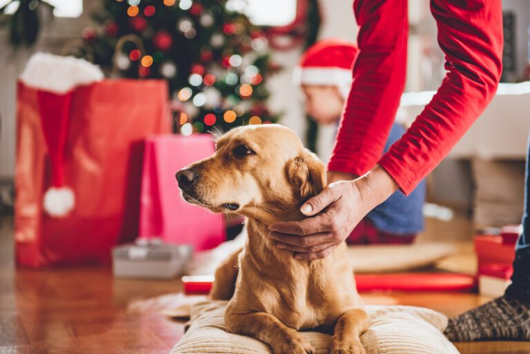 Dit zijn de leukste cadeau&rsquo;s om deze kerst aan hem te geven