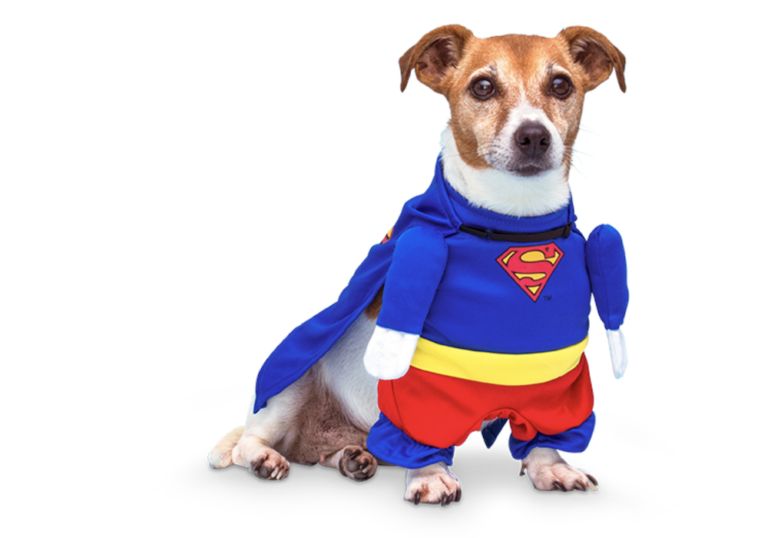 Gevalletje t&eacute; cute: Action verkoopt nu een superhelden dierenpak voor je hond