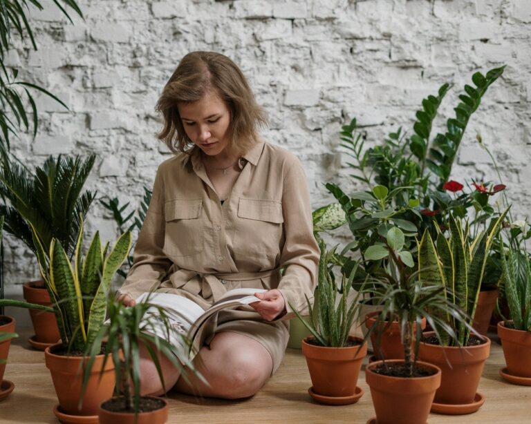 Deze goedkope planten zijn d&eacute; musthave voor op je kamer