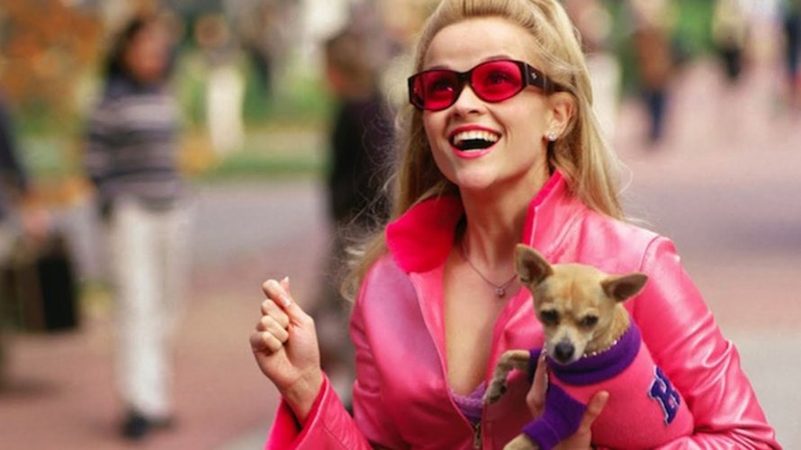 Legally Blonde 3: alles wat je moet weten