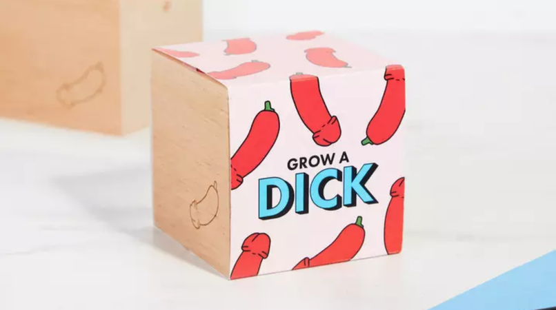 Kamerplanten zijn verleden tijd: koop hier je eigen piemelplant