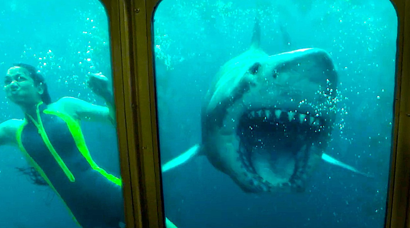 Netflix films: 47 meters down uncaged