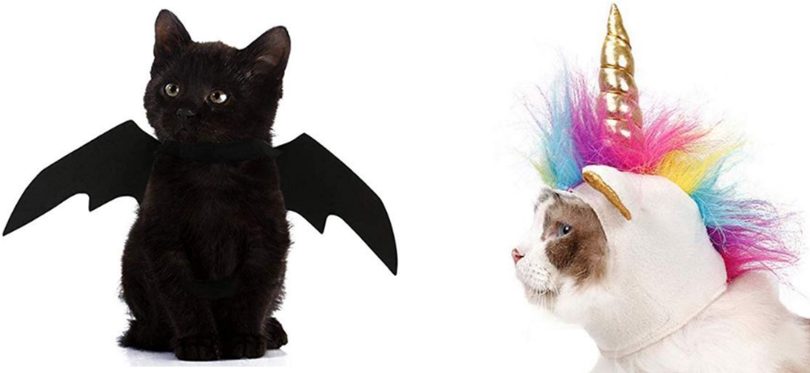 Hilarisch! Er bestaan nu Halloween-pakjes voor je kat