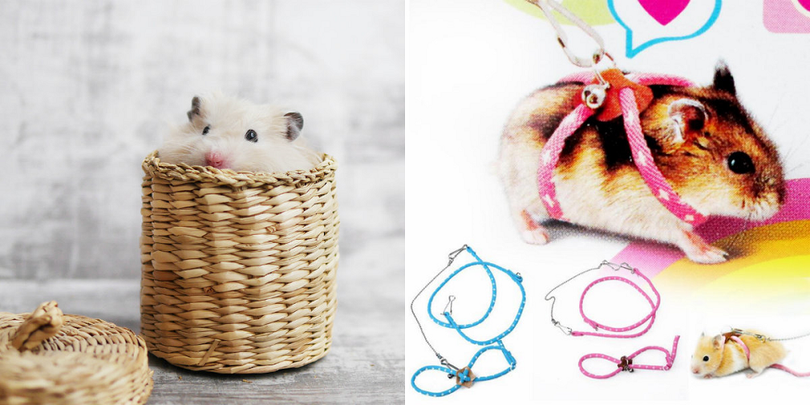 Deze AliExpress producten zijn z&oacute; raar dat je ze wil hebben